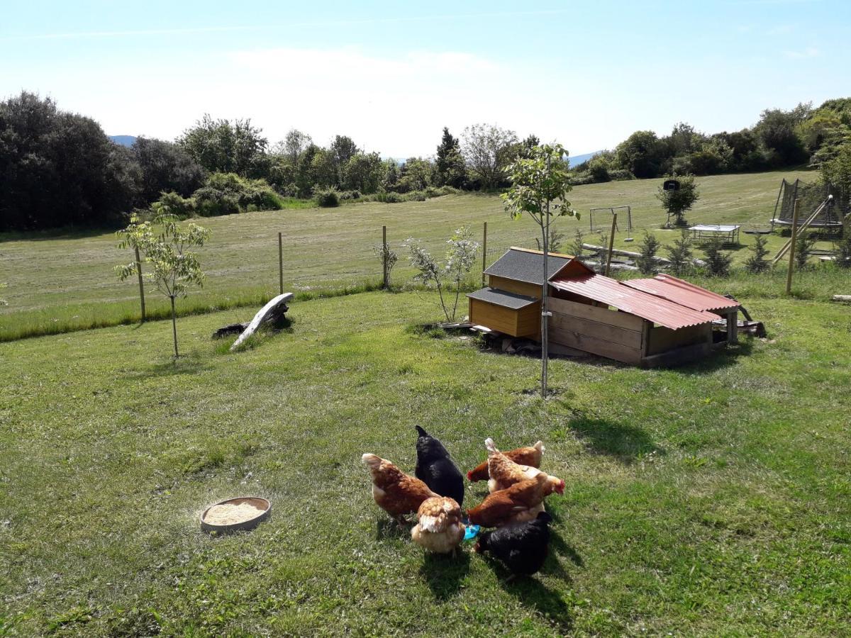 Can Pedragos Sales de Llierca Dış mekan fotoğraf