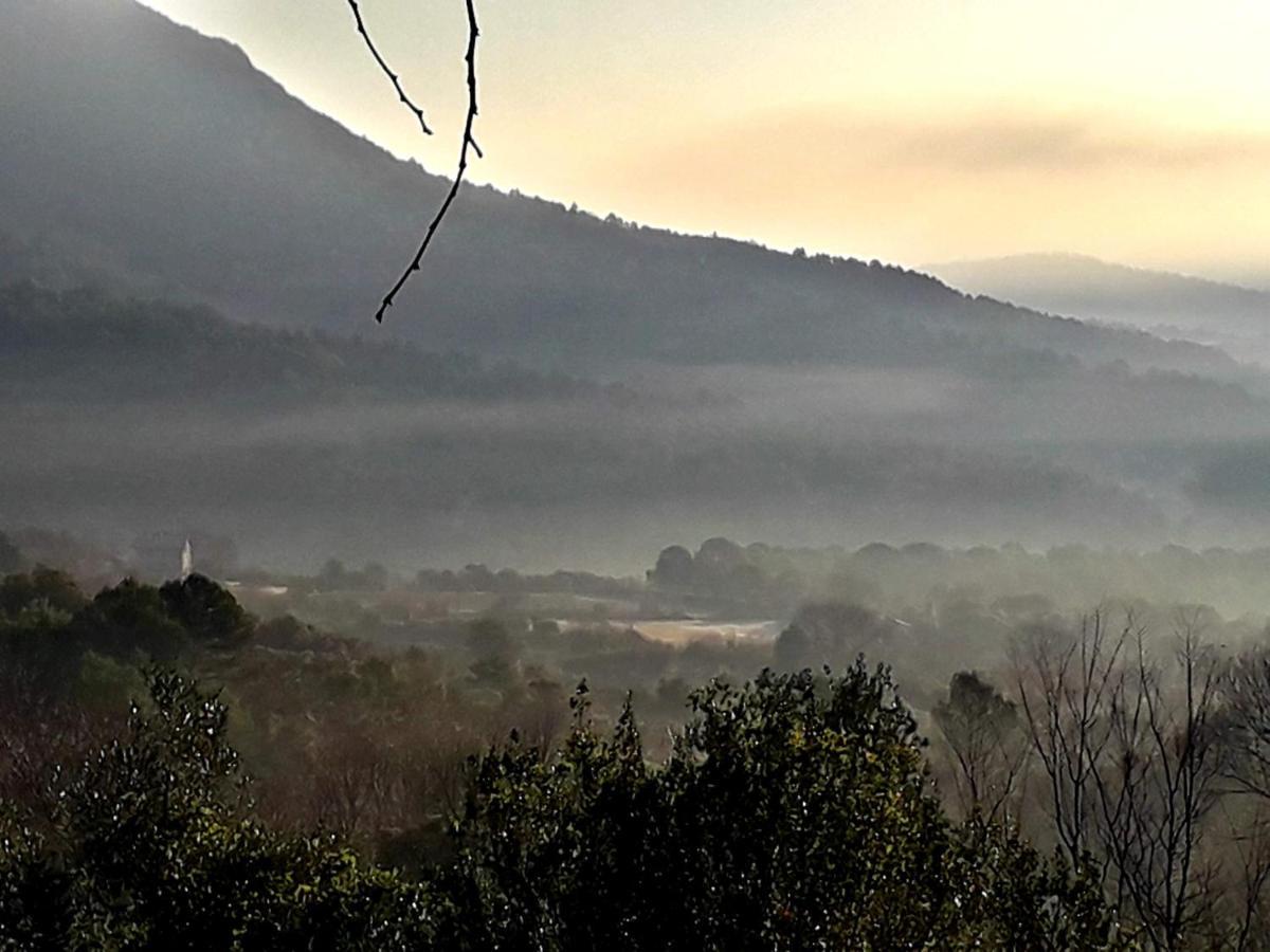 Can Pedragos Sales de Llierca Dış mekan fotoğraf