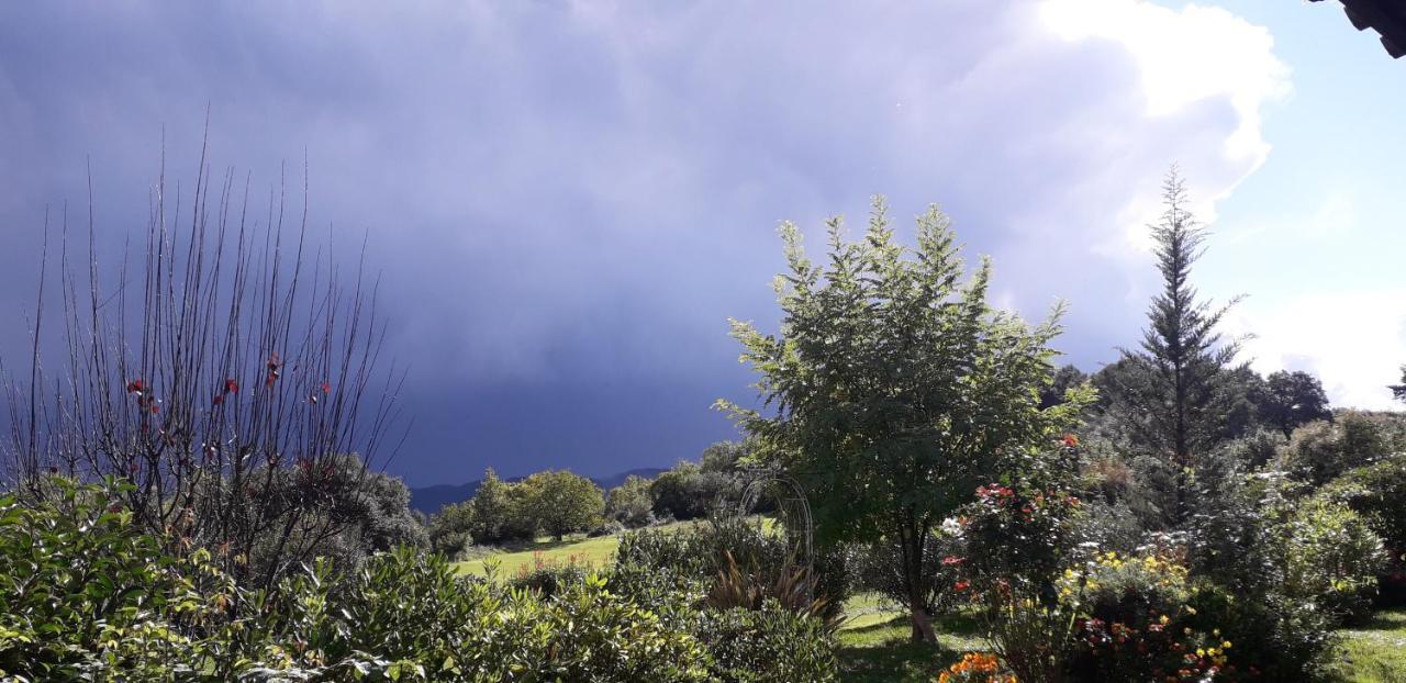 Can Pedragos Sales de Llierca Dış mekan fotoğraf