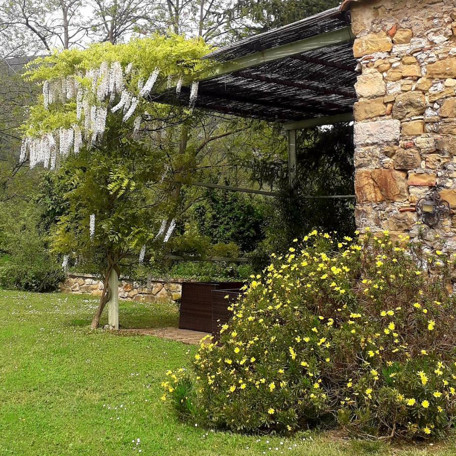 Can Pedragos Sales de Llierca Dış mekan fotoğraf