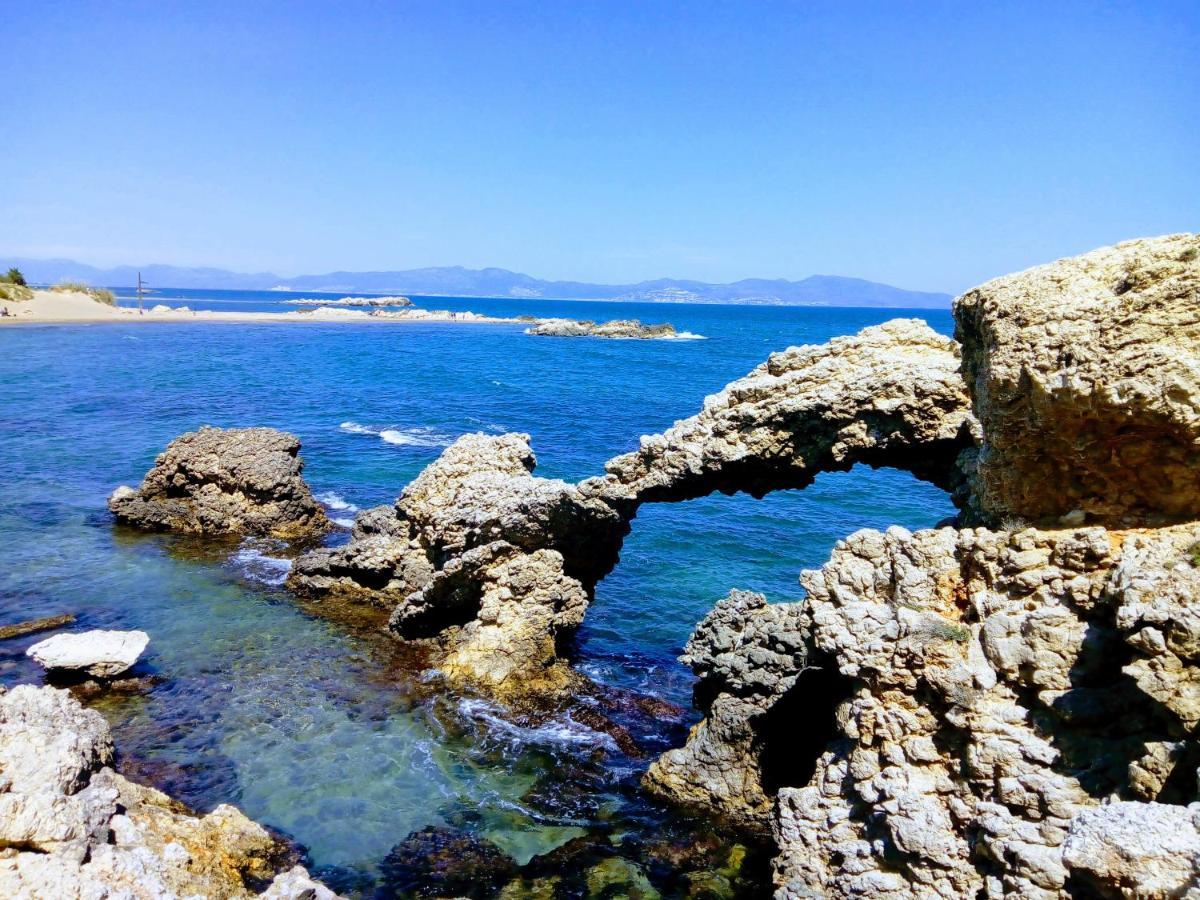 Can Pedragos Sales de Llierca Dış mekan fotoğraf