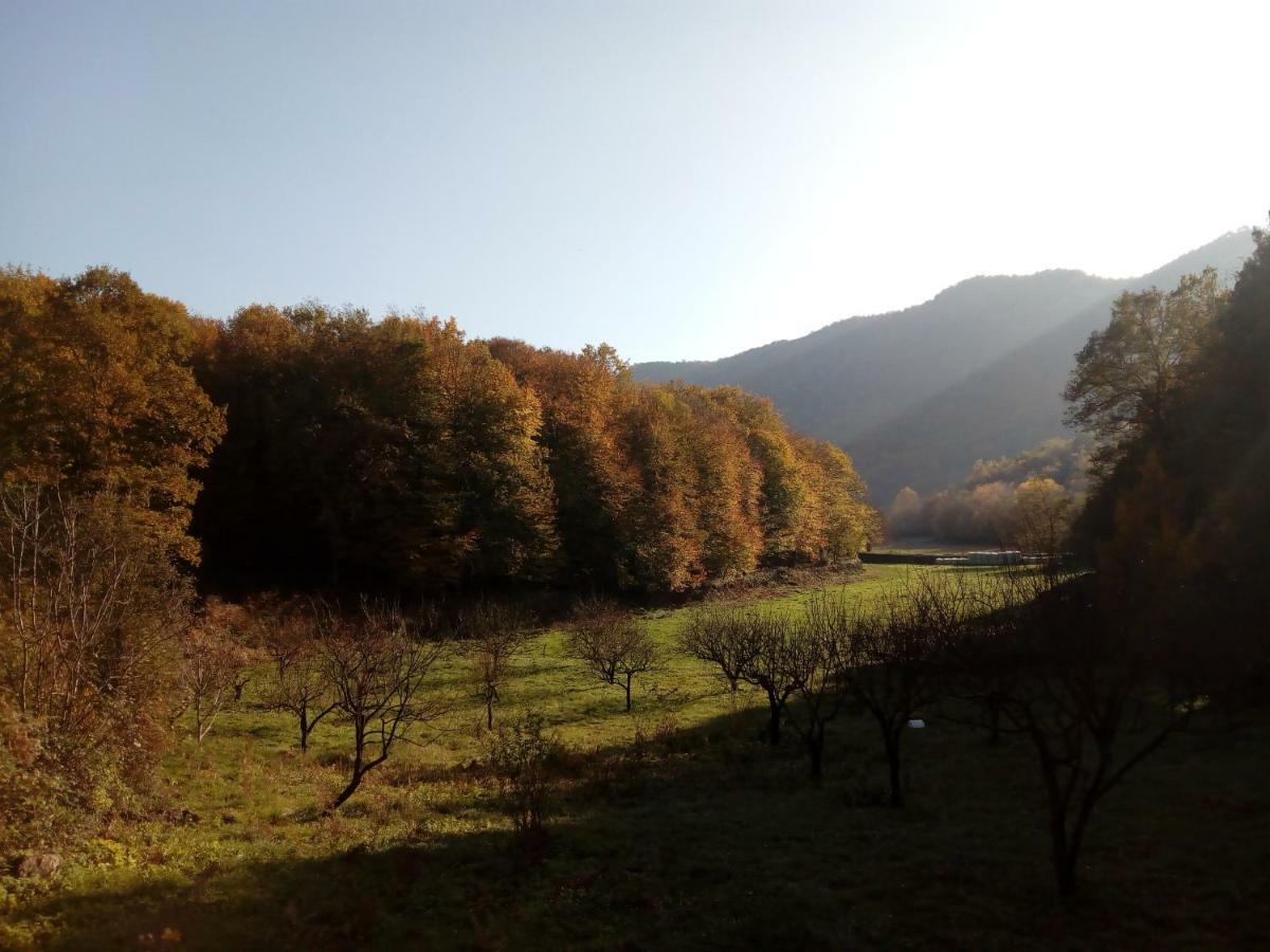 Can Pedragos Sales de Llierca Dış mekan fotoğraf