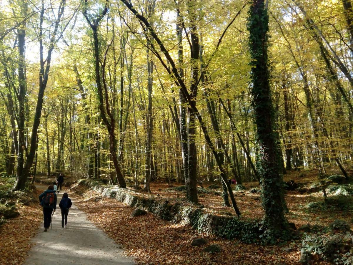 Can Pedragos Sales de Llierca Dış mekan fotoğraf